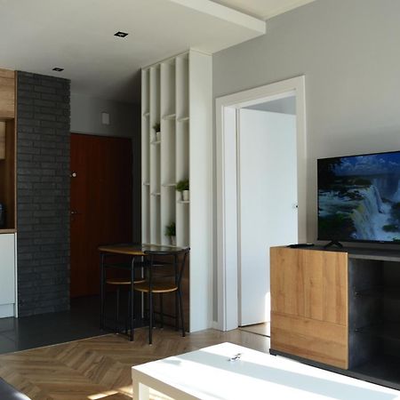 Apartment Sosnowiec City - Free Parking - Easy Check-In Exteriér fotografie