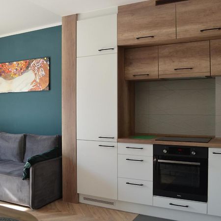 Apartment Sosnowiec City - Free Parking - Easy Check-In Exteriér fotografie